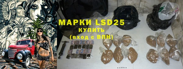 ГАЛЛЮЦИНОГЕННЫЕ ГРИБЫ Белоозёрский